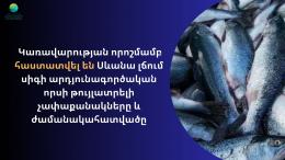 Установлены количество и сроки промышленного рыболовства в озере Севан