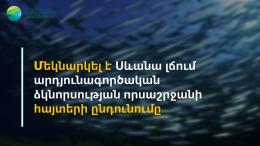 Стартовал прием заявок на сезон промышленного рыболовства промышленного рыболовства в озере Севан