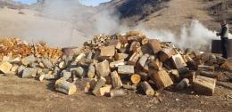 The Eco-Patrol Service of the Ministry of Environment discovered an illegal case of deforestation